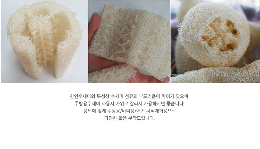 Scrubber Dish Washing