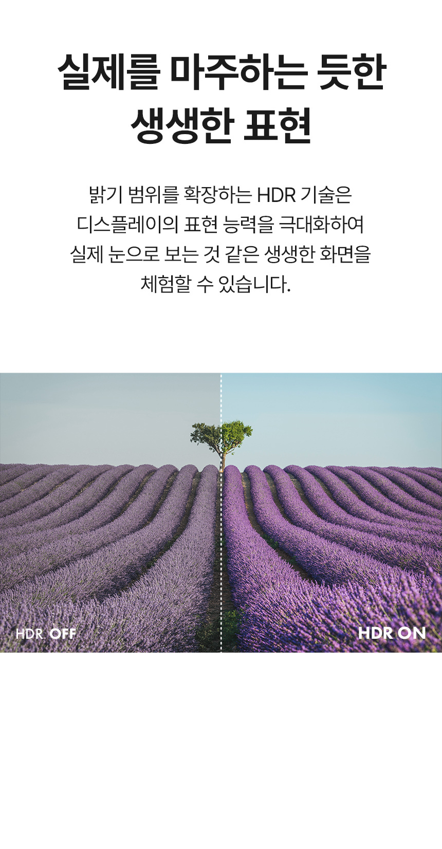 디비10 16인치모니터 / 게이밍모니터 / 포터블모니터 / 모니터