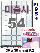 아이라벨 PL954