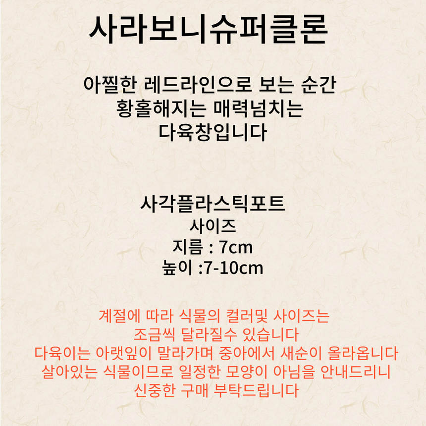 상품 상세 이미지입니다.