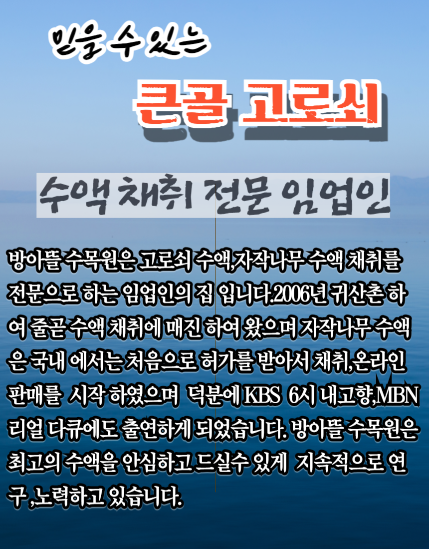 상품 상세 이미지입니다.