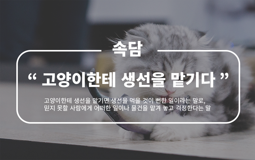 상품 상세 이미지입니다.