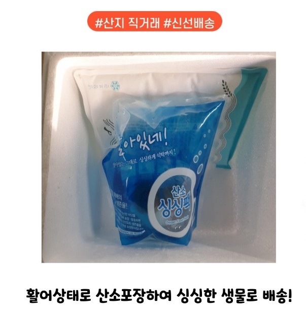 5월~9월은 날씨관계로  일부분 죽을수 있으며 하지만 선도가 좋기에 미끼로 사용하기에는 문제가 없습니다!