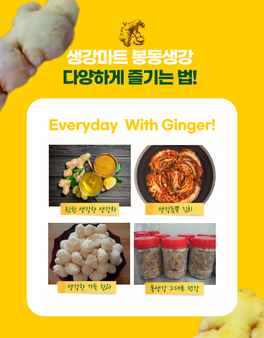 생강마트 봉동생강 다양하게 즐기는 법! Everyday with Ginger! 진한 생강향 생강차  생강듬뿍 김치  생강향 가득 한과  통생강 그대로 편강