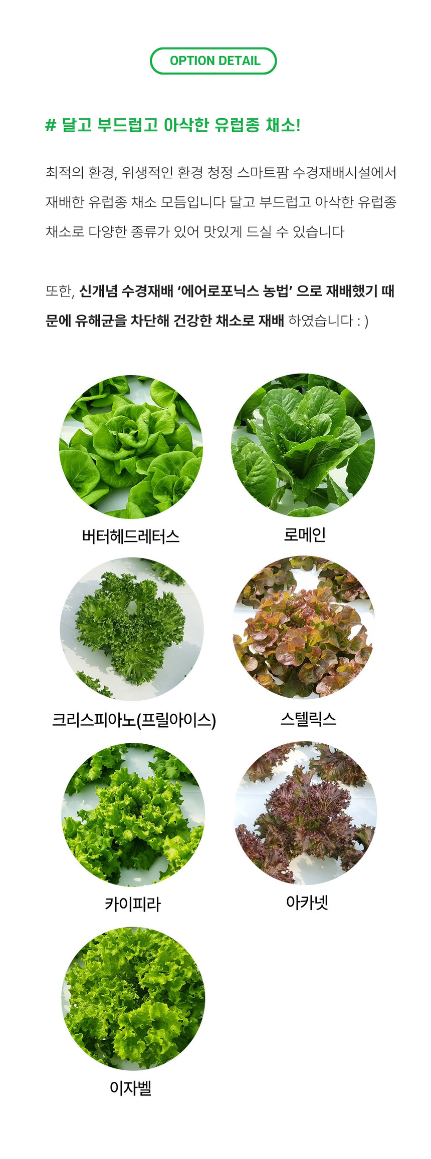 무농약 유럽형 모둠쌈채소 유러피안 샐러드 1kg 버터헤드 로메인 이자벨 에어로포닉스 친환경 재배 - G마켓 모바일