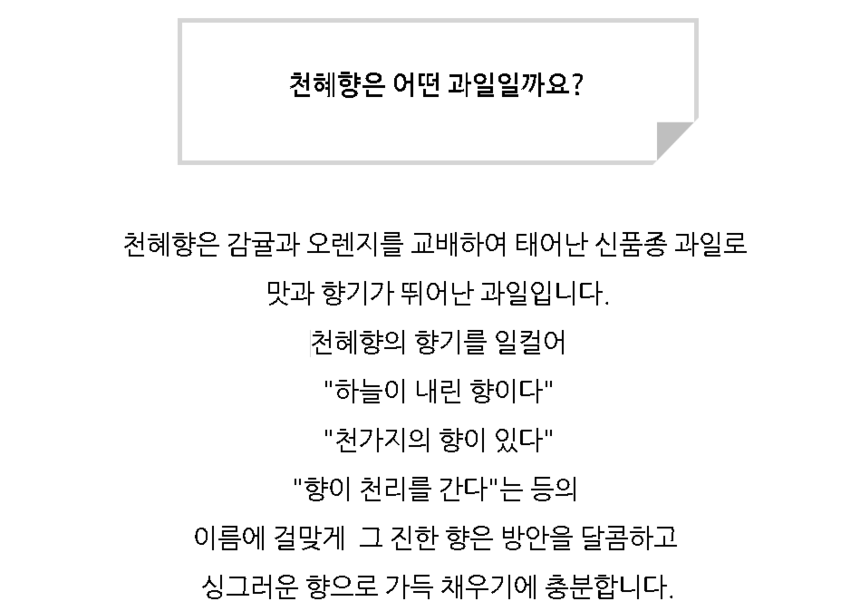 상품 상세 이미지입니다.
