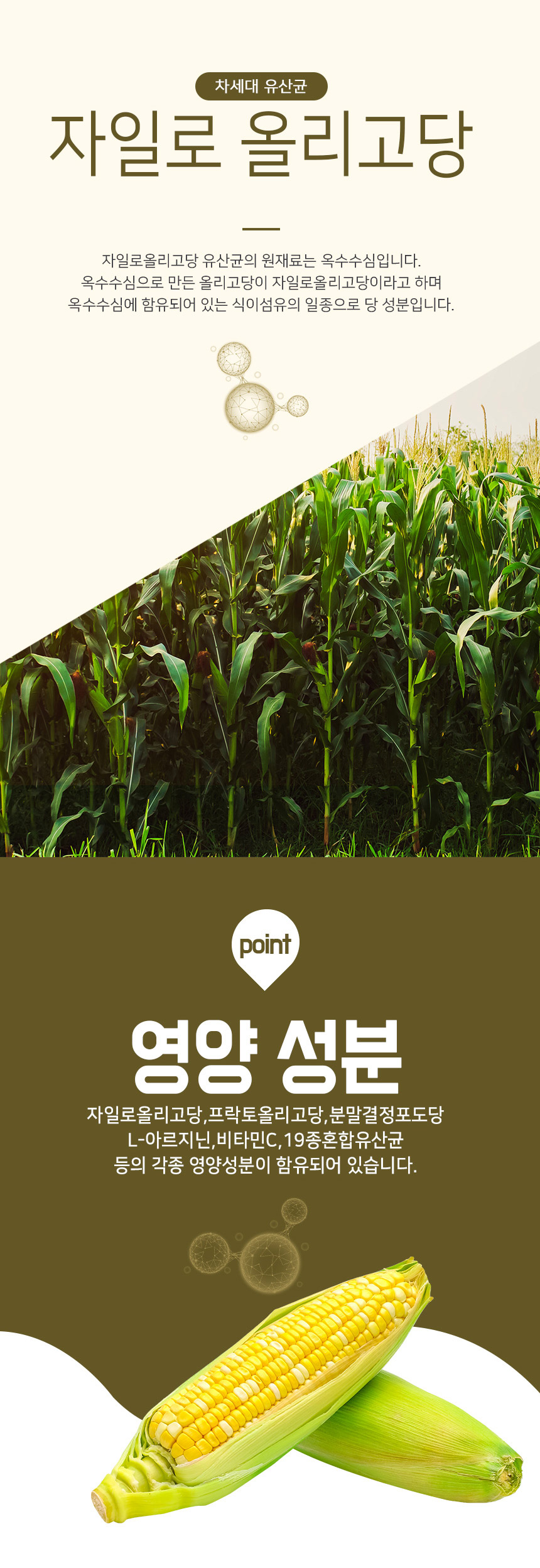 G마켓 - 자일로올리고당 유산균 100G