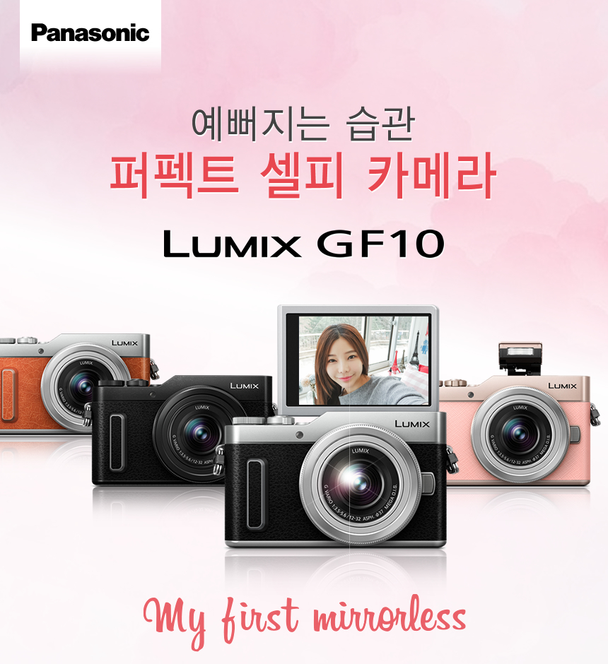 panasonic gf10 price