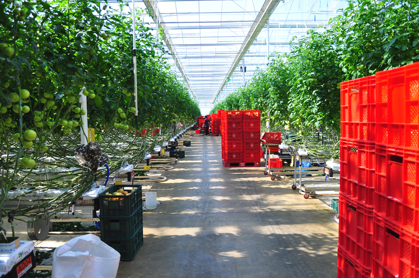 스마트팜 시스템