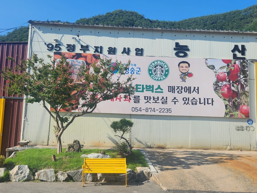 스타벅스 납품업체 올가니카에 쥬스원재료 사과납품