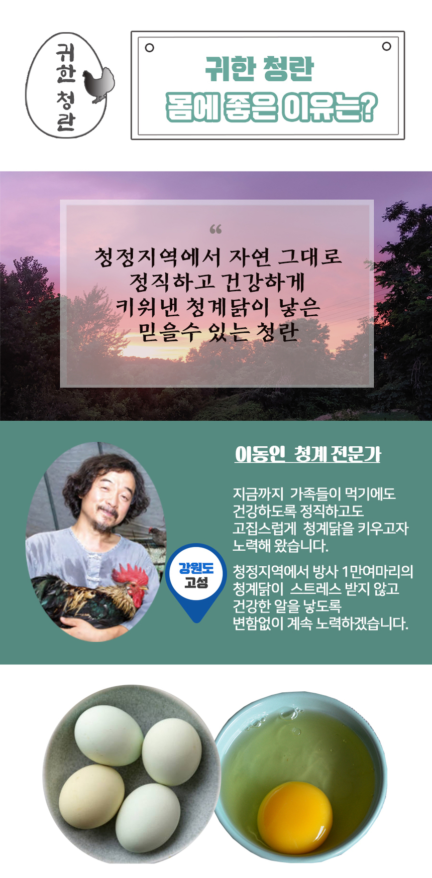 금강초계 청란 푸른색달걀/청계알/청계란 (식용 30란) - G마켓 모바일