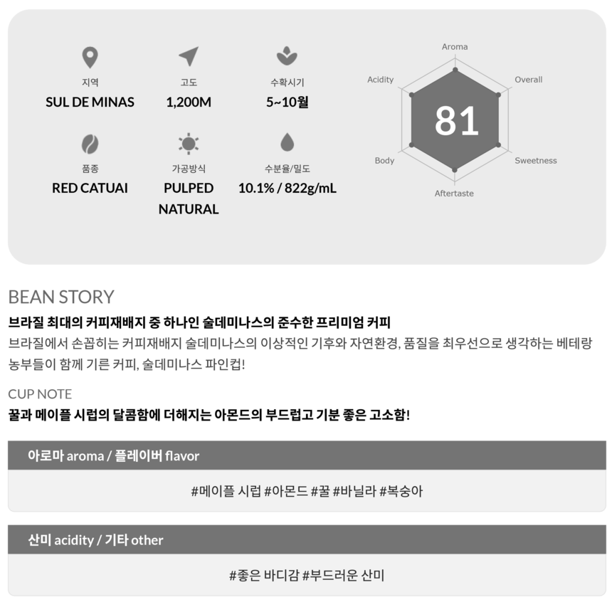 브라질 술데미나스