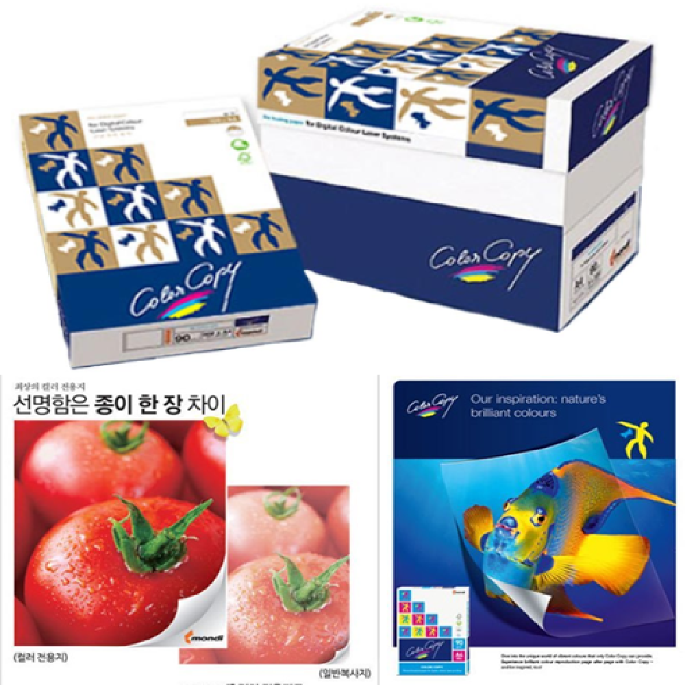 최고급레이져컬러용지 전문가 미색 A3 100g 305x457 2000매