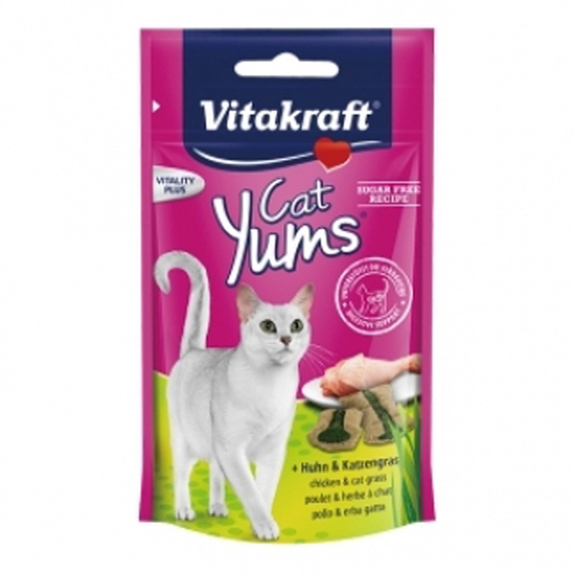 Dfav 비타크래프트 고양이 간식 캣얌 치킨 캣그라스 40g