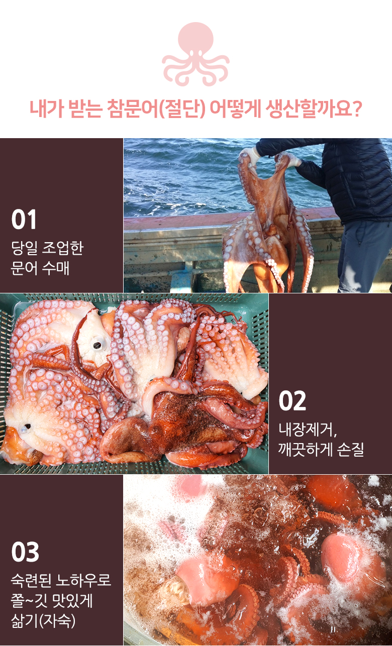 octopus_cut2.jpg