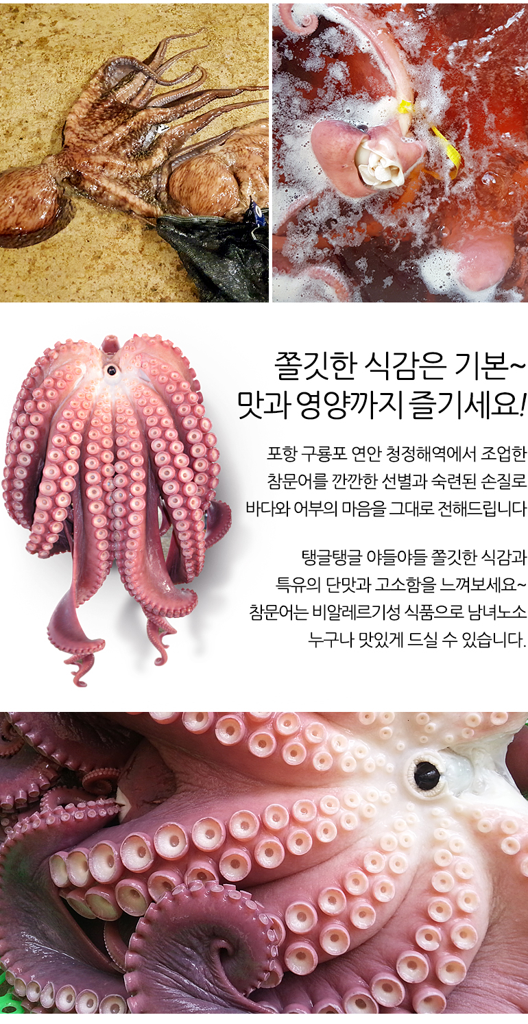 octopus_tong2.jpg