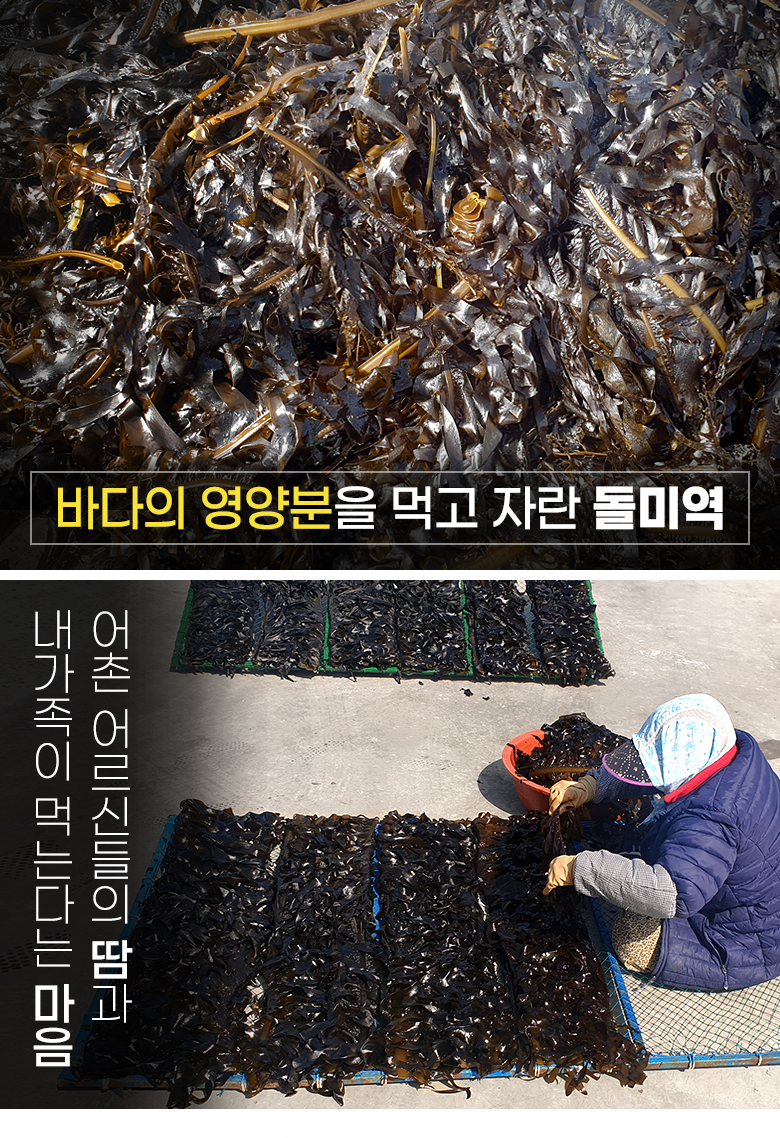 seaweed_2.jpg