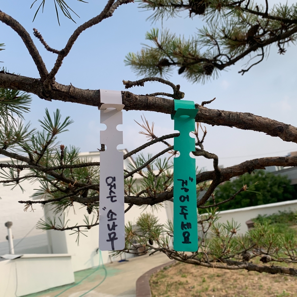 식물이름표 화분이름표클립 식물식별태그 정원용라벨 화분픽T형 식물정보표 식물라벨 식물마크 식물식별표 화분이름표 라벨대형 식물이름태그 타이형 100P 이름표 태그 라벨 식물