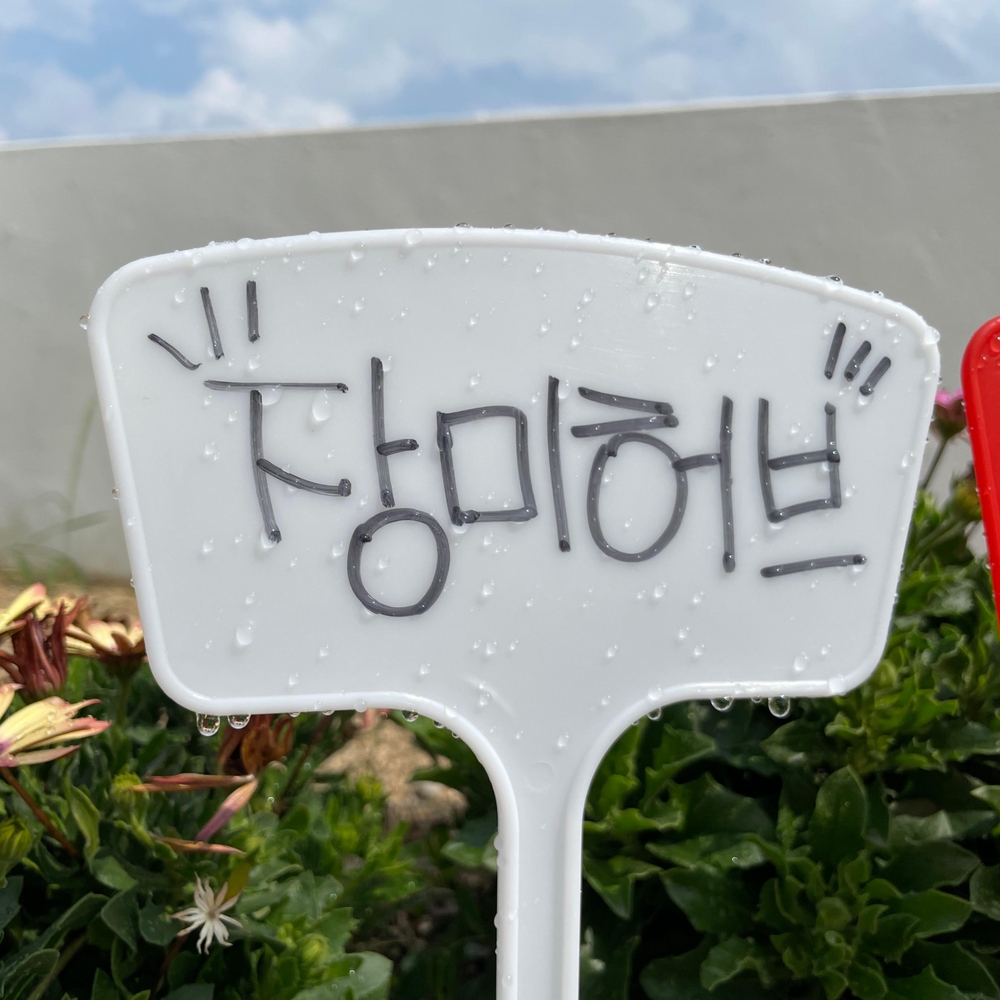 소형식물화분 다육이판매 내부저면관수화분 상추화분 플랜터 화분조립형 빈티지인테리어소품 화초 인테리어아이템소품 식물장식 베란다가꾸기화분 식물 팻말 일자형 화단 이름표 36cm 화분