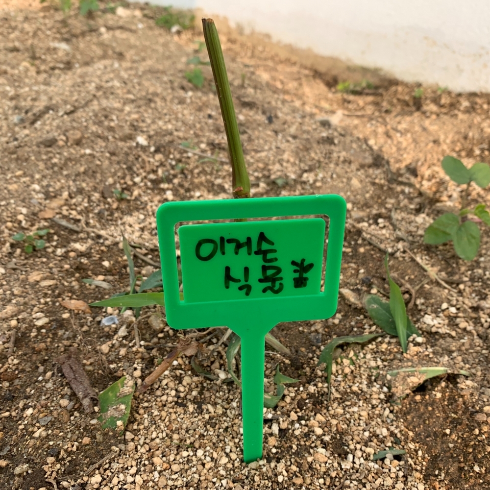 식물식별표 식물식별태그 화분이름표 라벨스티커 식물태그표 식물라벨제작 식물이름표라벨 식물분류표 화분픽T형 식물이름표 화분이름표클립 식물 화분픽 라벨 이름표 5P 클립형 식물라벨