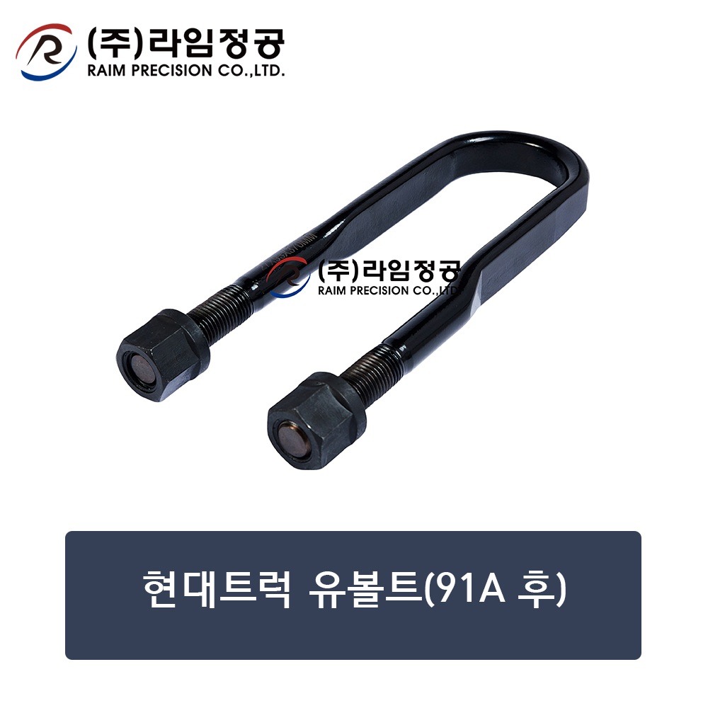 현대트럭 유볼트(91A 후)/라임정공R