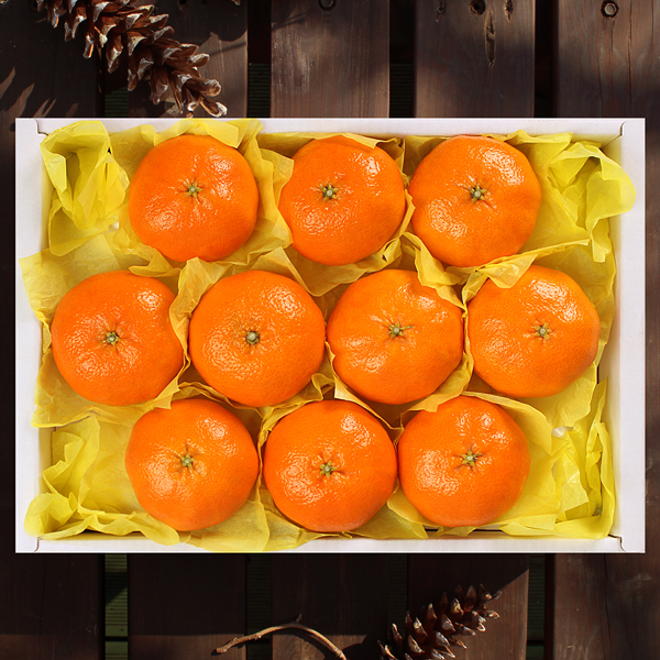 레드향세트3kg(8~12개입)