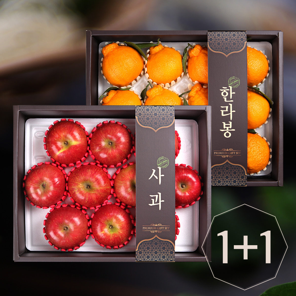 [기쁨두배]사과세트1박스(10개)+한라봉세트1박스(12개)