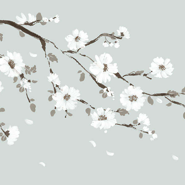 [흰꽃 나무] 롤스크린