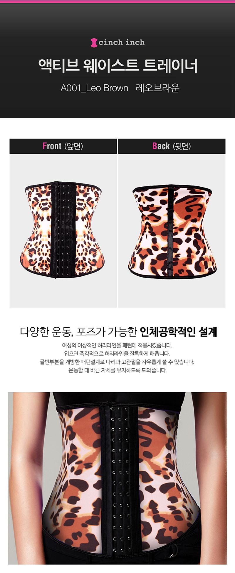 스포틴치/쇼크업소버