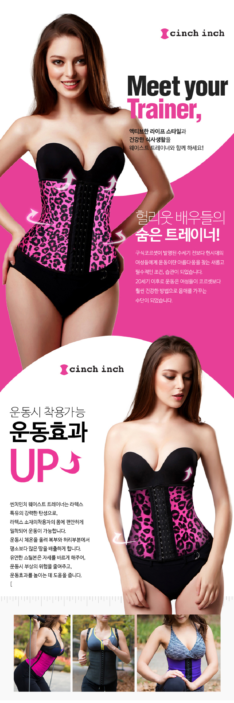 스포틴치/쇼크업소버