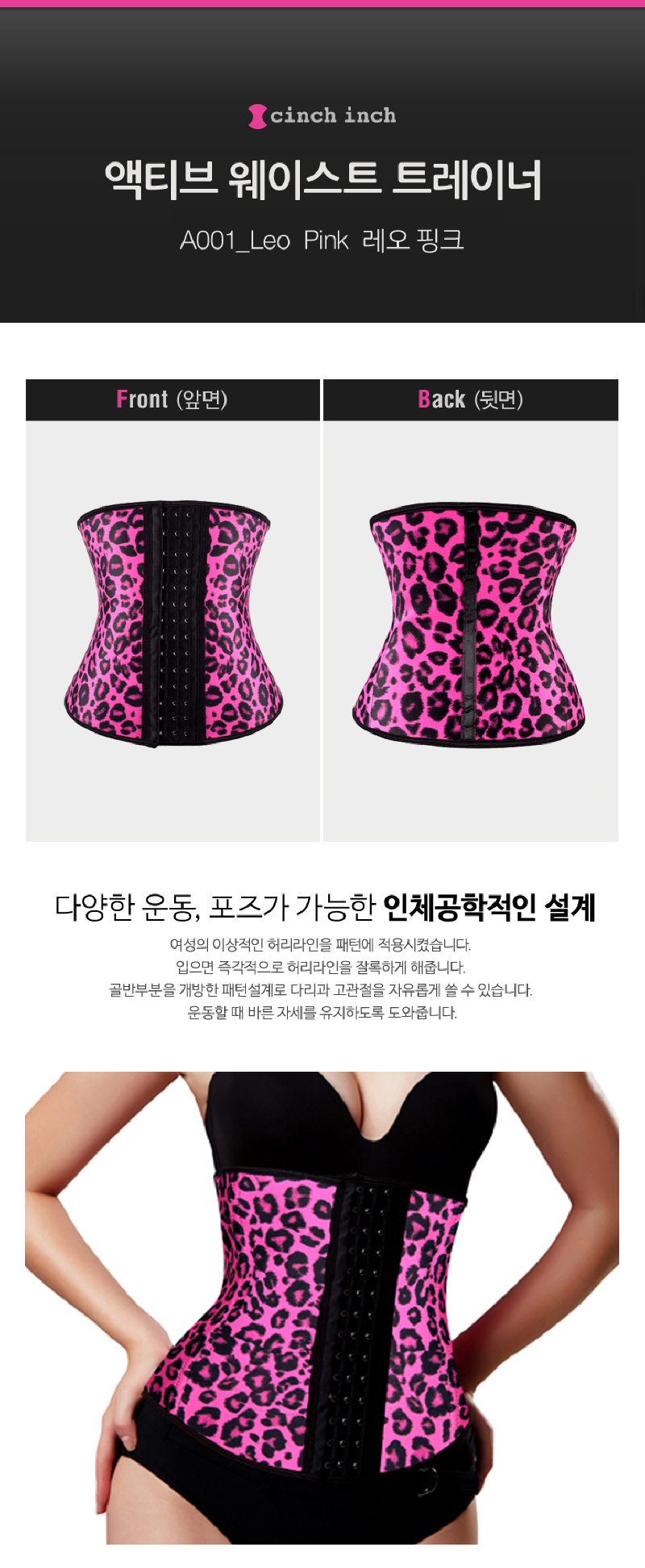 스포틴치/쇼크업소버