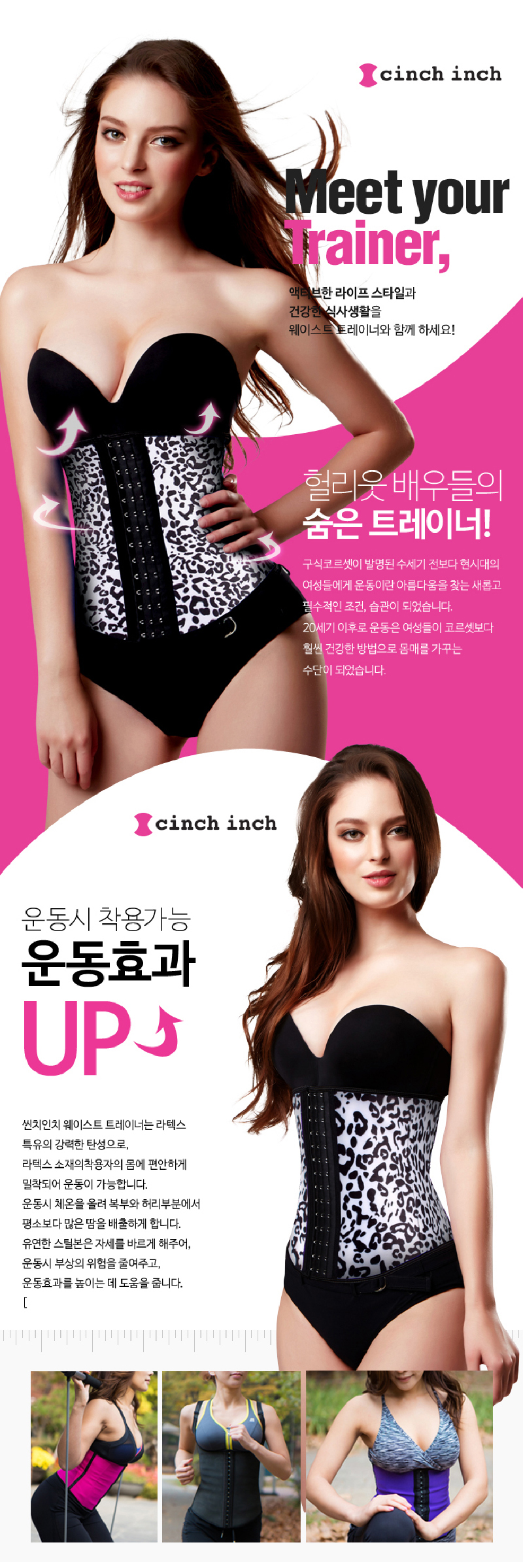 스포틴치/쇼크업소버