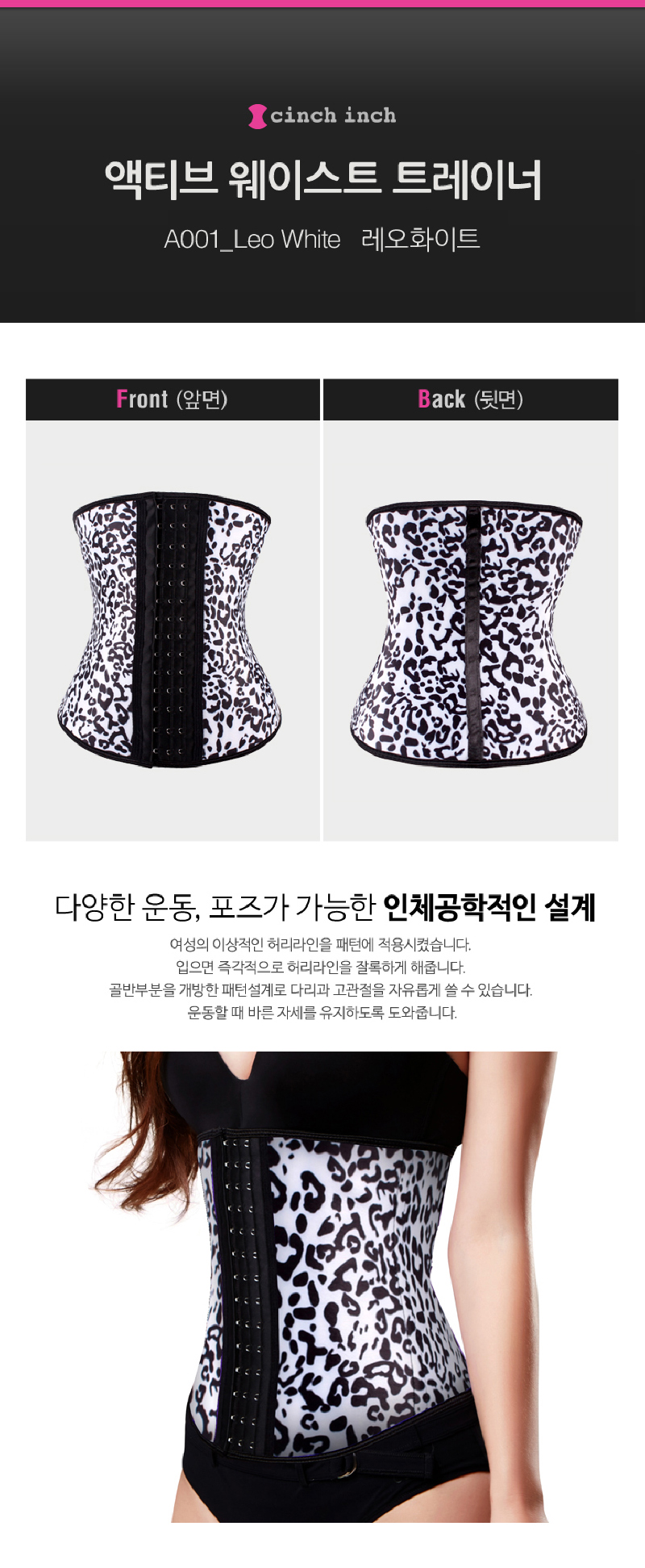 스포틴치/쇼크업소버