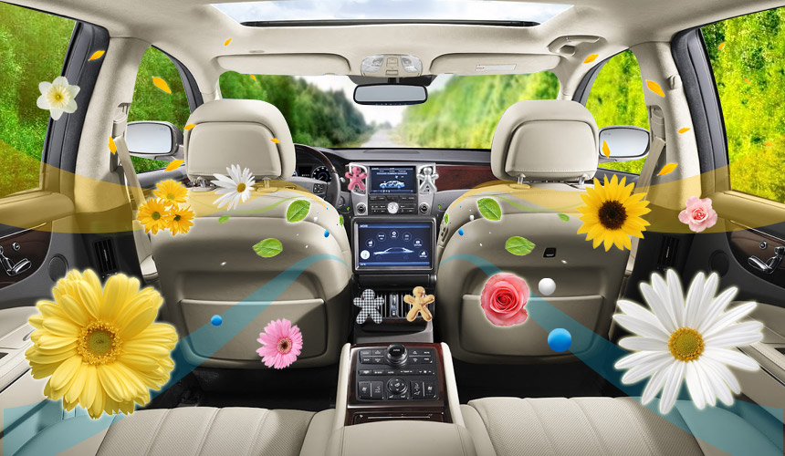 Car Air Freshener Mr Anne Mies Italy Italy Cesare 