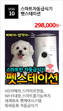 New Kickboxing Boxing Boxing Glove Collection Supp