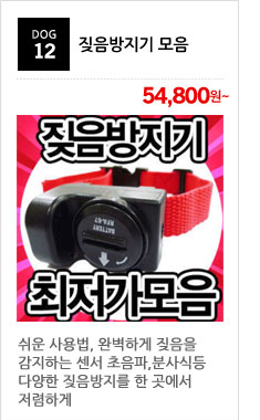 New Kickboxing Boxing Boxing Glove Collection Supp