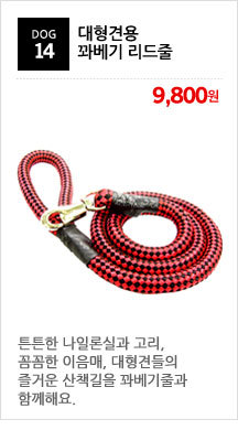 New Kickboxing Boxing Boxing Glove Collection Supp