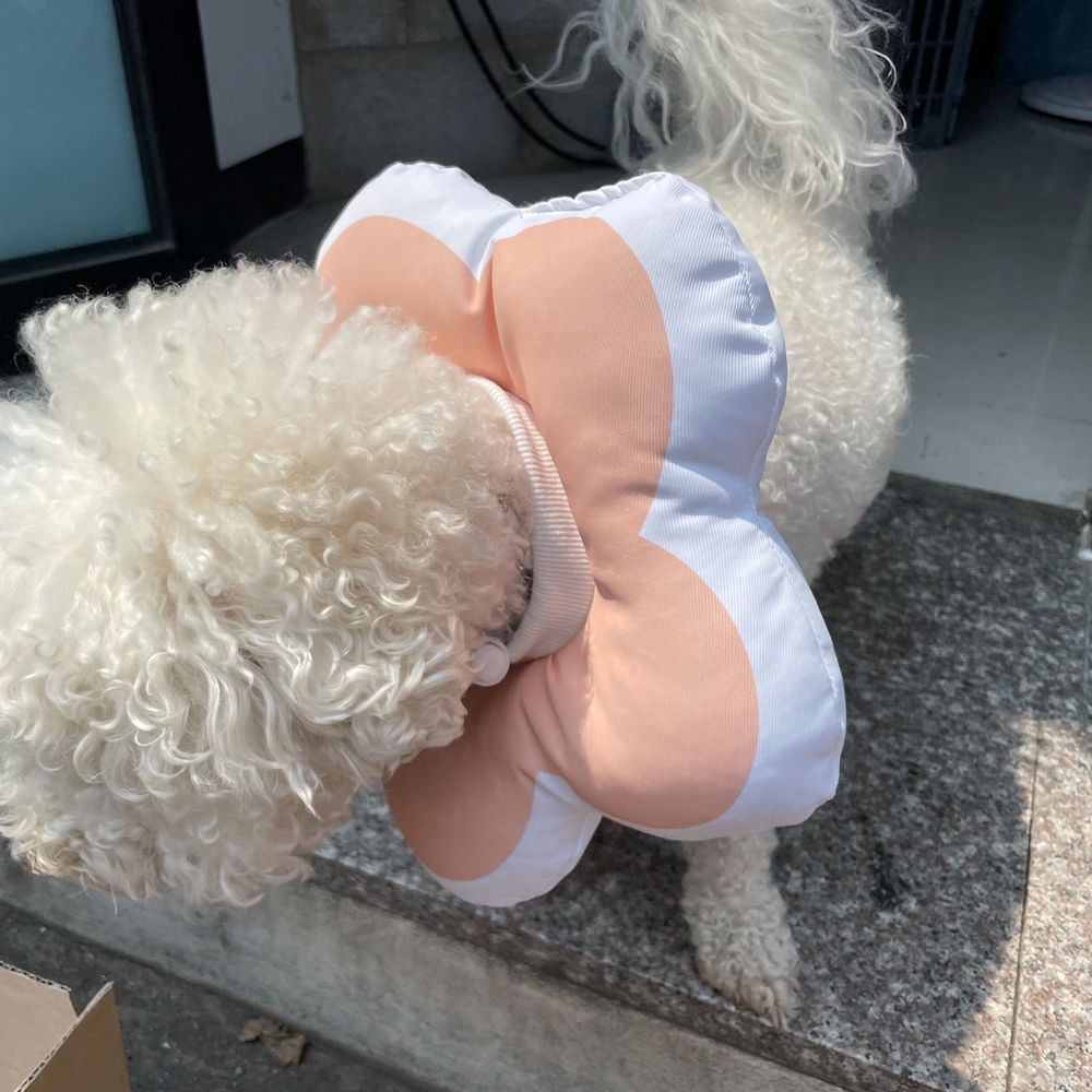 할로윈가구 힐패드 홈패브릭담요 관절보호패드 사무실가구 가구보호필름 코너보호제 바닥통나무 여성용구두 허리보호밴드 소품 어린이침실소품 릴랙스방석 꽃피는 넥카라 강아지 고양이 핑크 쿠션
