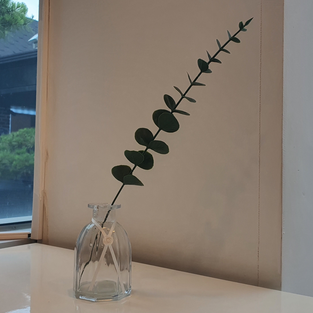 조화소품 장식용품 샷그라스조화 꽃다발선물 목조화 소품조화 인테리어조화 플라워조화 조화조각 프리미엄조화 유칼립투스조화 아케이드커버골드메니퀸사이즈 유칼립투스 인테리어 촬영소품 조화
