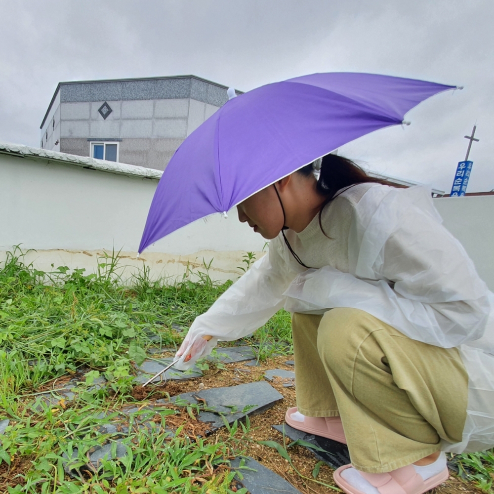 미니우산모자 아웃도어우산모자 캐주얼우산모자 레저우산모자 배색블루모자 퍼플우산 산양우산모자 머리용우산 중형우산모자 퍼플모자 비올때모자 반자동우산모자 소형 쓰는 머리에 퍼플 우산모자