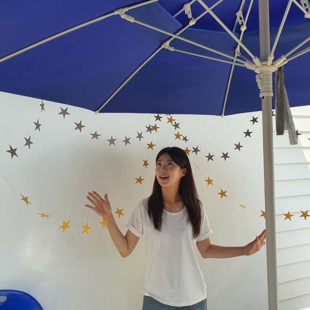 이벤트용음식저장용기 이벤트파티용품 실버파티용품 음식저장용기 이벤트 가랜드 파티 별 실버 행사용음식저장용기