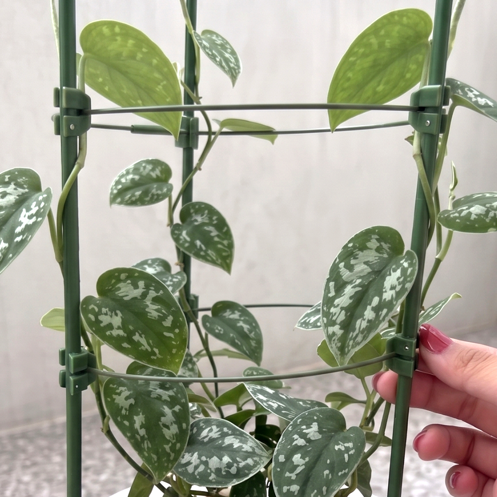 다용도정원소품세트 정품홀화분 원터치식물화분 다육채소화분 초록가든용품 식물재배용기 화분심기 화초기 직장인실내재배용화분 반려식물용품 모듈형화분 원형 식물지지대 60cm 화분
