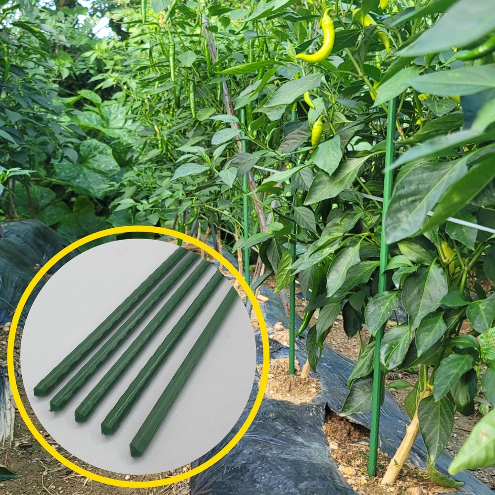 반려식물조장용화분 물자동급수기 배수망 조화화분 화분커버 창가화분 대파키우기화분 스탠드화분 관상용화분 상추재배법 식물분갈이화분 화분팻말 식물지지대 텃밭 굵은 5P 60cm 화분