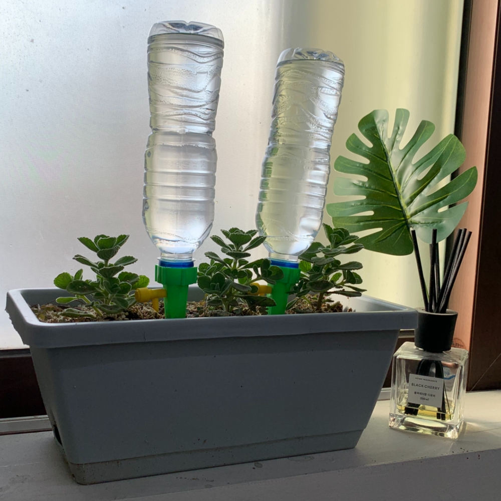 물주기장치 화단자동물주기 동물급수기 식물자동급수기 화분자동관리기 식물급수기 페트병화분보관 자동화분물주는기계 식물관리용품 화분급수장치 동물급수장치 식물 화분 페트병 4P 자동급수기