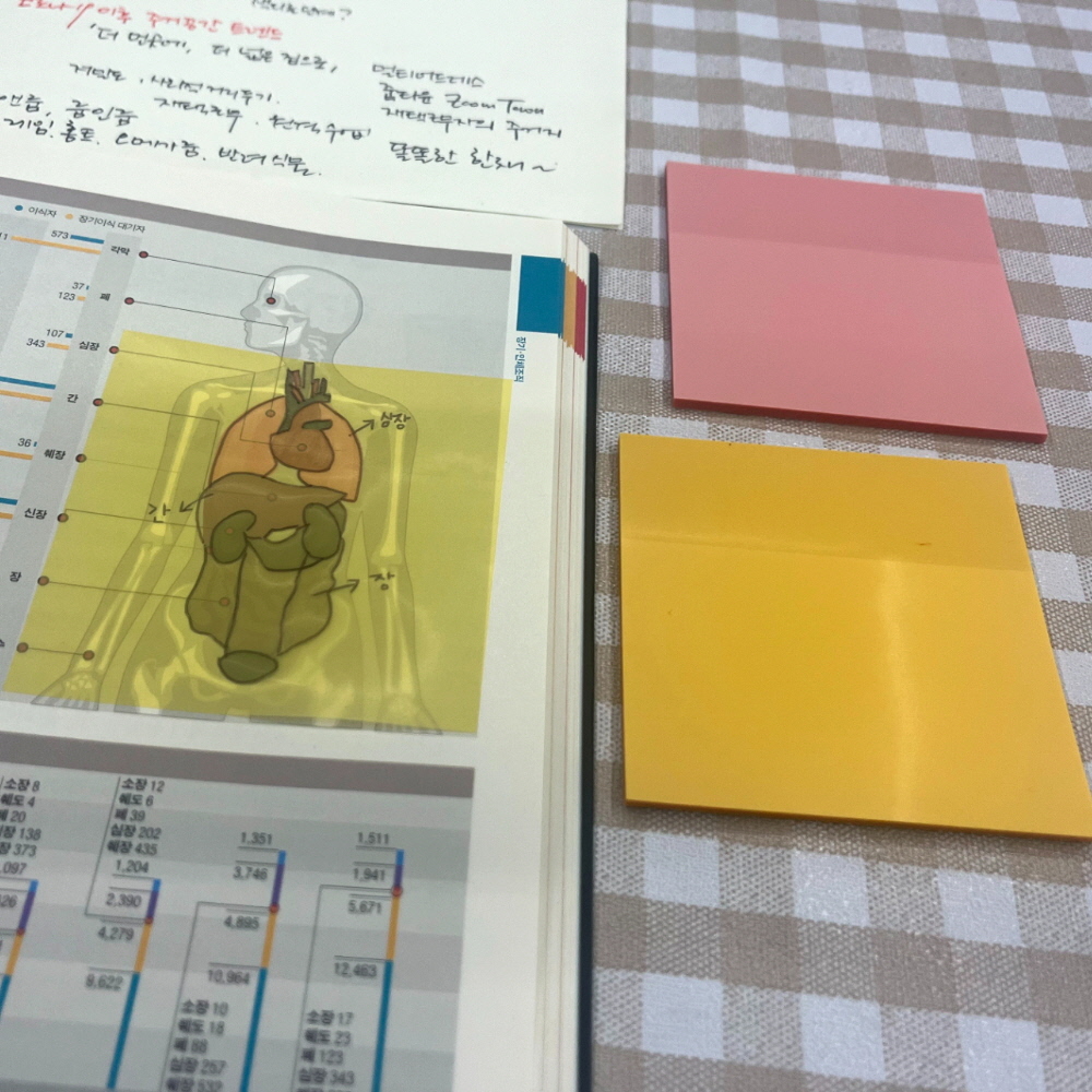 반사액세서리 욕실데코 라벨테이프 작업반경표시 운전액세서리 반사경고표지 흡연금지 흠집보호필름 PVC물감 원형미니화살표 자석제품 운전교육자료 메모지 75x75 옐로우 투명 컬러 스티커