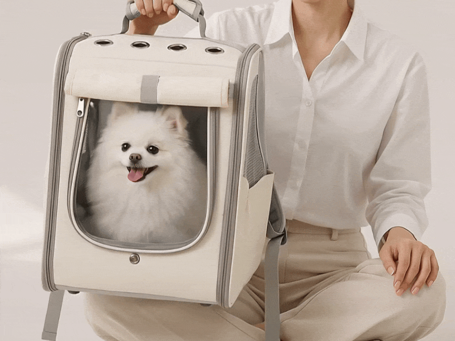 레토 강아지 이동가방 고양이 이동장 백팩 가방 대형 상세 이미지 7