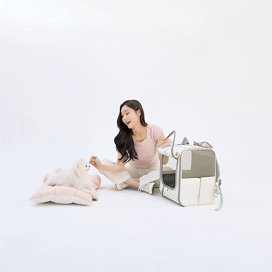 레토 강아지 이동가방 고양이 이동장 백팩 가방 대형 상세 이미지 11