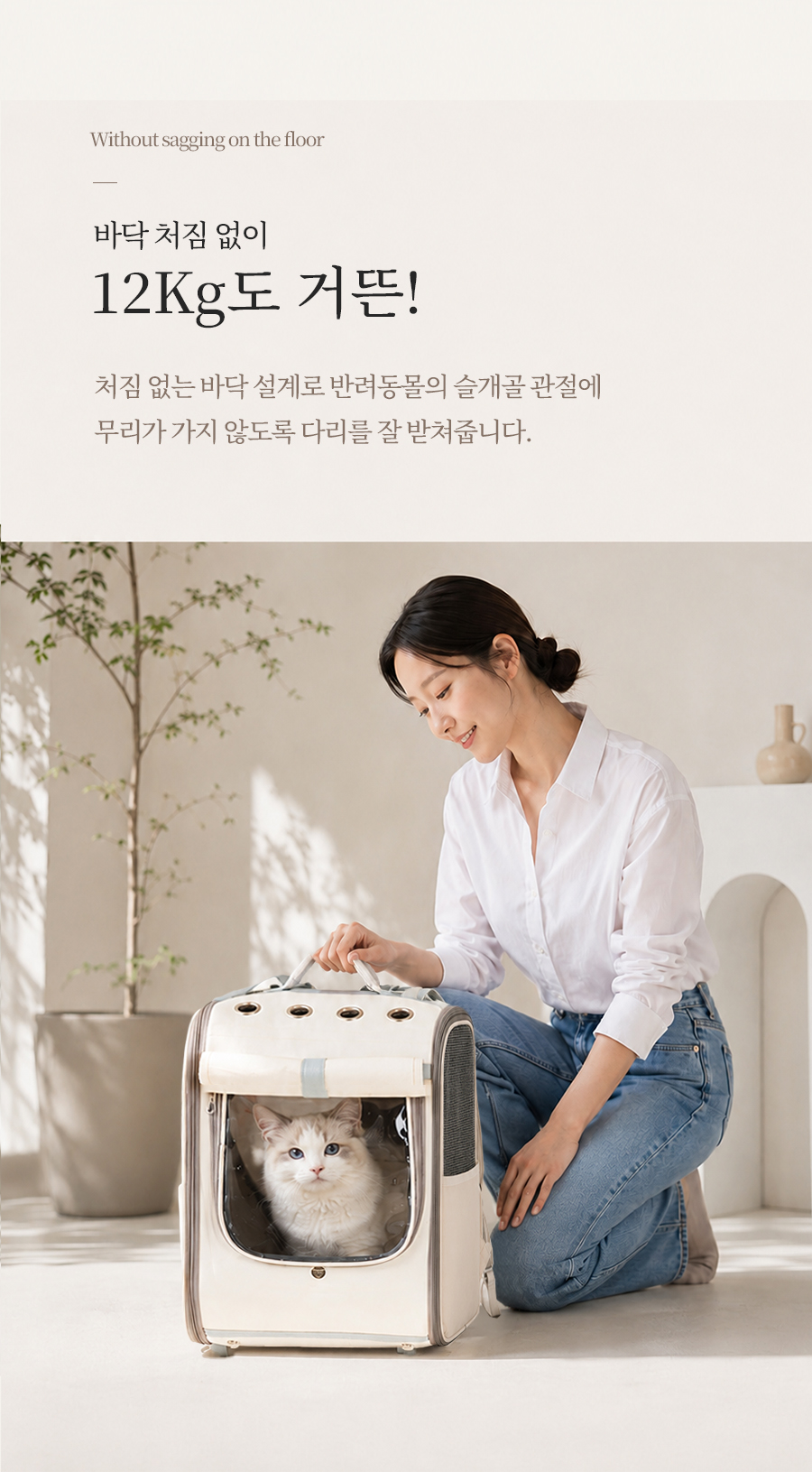 레토 강아지 이동가방 고양이 이동장 백팩 가방 대형 상세 이미지 17