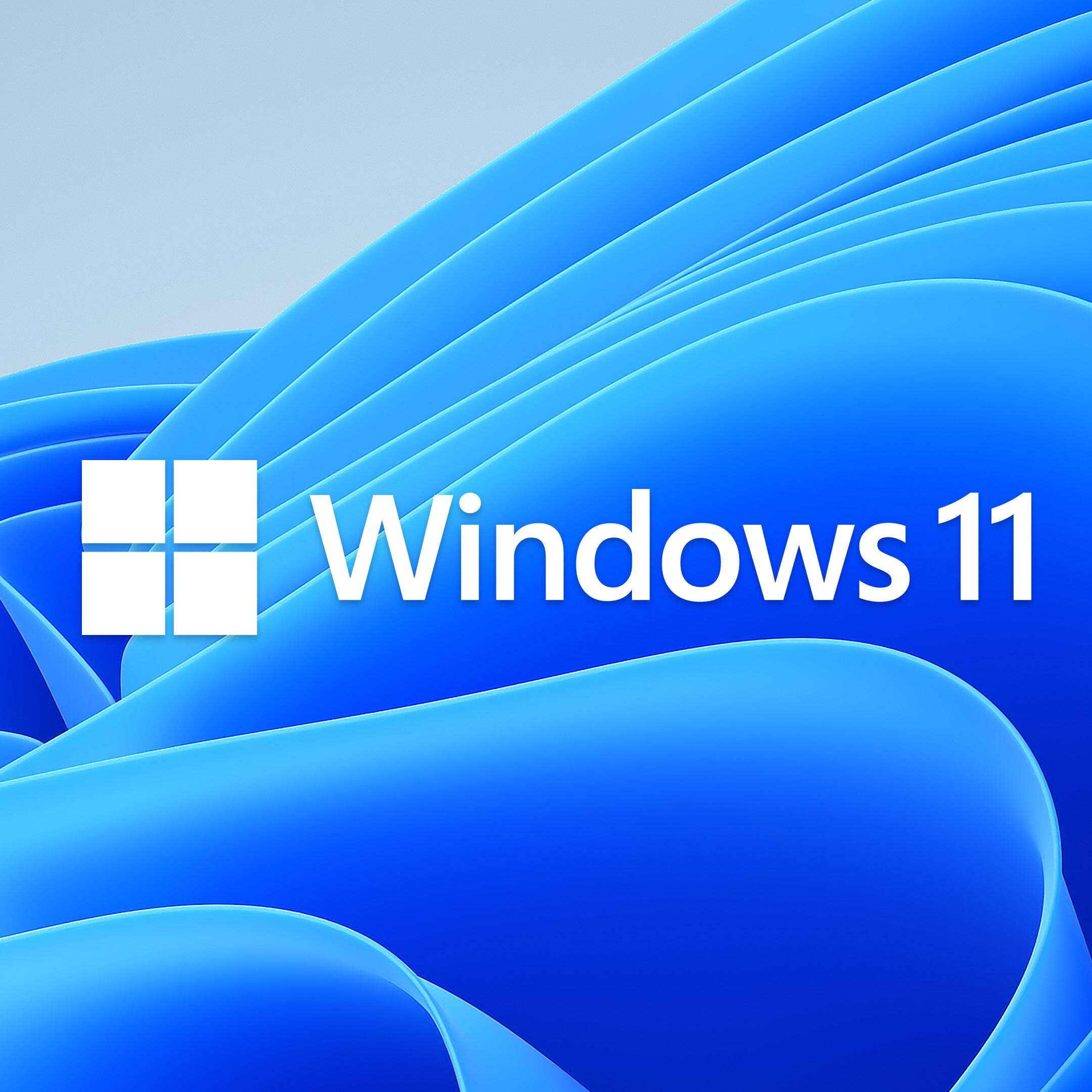 정품 Windows 11 Home (DSP)