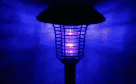 f1e7ebd2eb935e137d7c90072e6c9075_1617787756_8088.gif